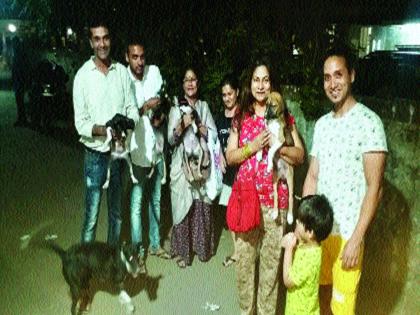 Complaint against Society for Puppy molestation | श्वानाच्या पिल्लांना हाकलणाऱ्या सोसायटीविरोधात तक्रार, पिल्ले परतल्याने प्राणिप्रेमींना सुखद धक्का