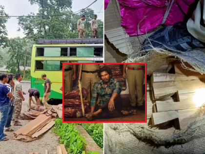 Teak timber smuggling: 'Pushpa' style smuggling from sleeper bus; Accused caught by IFS officer | Teak timber smuggling: स्लीपर बसमधून 'पुष्पा' स्टाईल तस्करी; IFS अधिकाऱ्याच्या जाळ्यात अडकले आरोपी