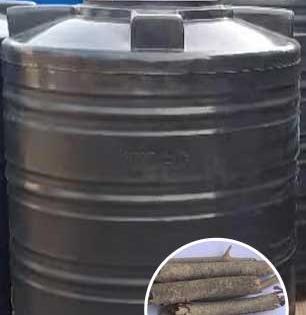 छतावरील भलीमोठी टाकी वारंवार धुण्याची झंझट नाही! 'या' झाडाची फांदी पाणी ठेवेल स्वच्छ - वर्षानुवर्षे टाकी चकाचक