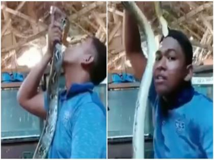 Boy was playing with python snake caught his hair then he scream see viral video | Python Attack Video: अजगरासोबत खेळत होता तरूण, सापाने अचानक केला हल्ला आणि मग...