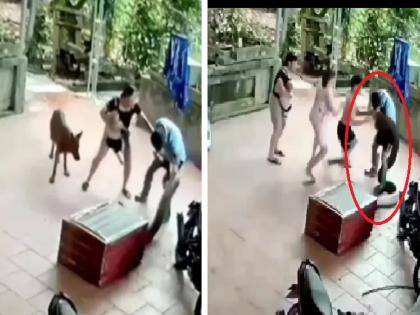 man was playing with python, suddenly python choked his neck; Watch the shocking video | बापरे..! अजगराशी खेळायला गेला अन् त्याने घातला गळ्याला विळखा; पाहा धक्कादायक Video...