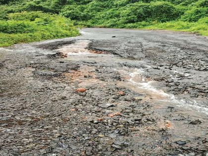 The sidewalks of the harbor road were transformed at times | वेळास-दिघी बंदर रस्त्याची झाली चाळण