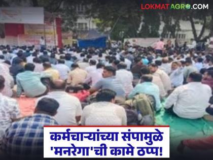 MGNREGA works halted due to employees' strike; Beneficiary farmers find themselves in a dilemma | कर्मचाऱ्यांच्या संपामुळे 'मनरेगा'ची कामे ठप्प; लाभार्थी शेतकरी सापडला कोंडीत MGNREGA works halted due to employees' strike; Beneficiary farmers find themselves in a dilemma | कर्मचाऱ्यांच्या संपामुळे 'मनरेगा'ची कामे ठप्प; लाभार्थी शेतकरी सापडला कोंडीत