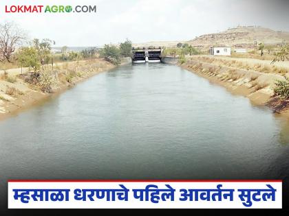 First phase of Mhasala Dam completed; Hundreds of farmers will benefit | म्हसाळा धरणाचे पहिले आवर्तन सुटले; शेकडो शेतकऱ्यांना होणार फायदा First phase of Mhasala Dam completed; Hundreds of farmers will benefit | म्हसाळा धरणाचे पहिले आवर्तन सुटले; शेकडो शेतकऱ्यांना होणार फायदा