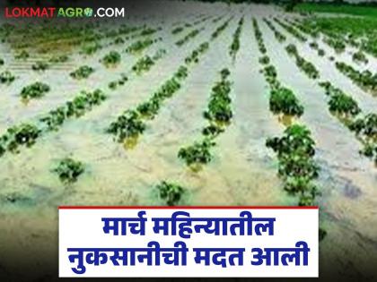 Assistance of Rs. 66 lakh 57 thousand to the affected farmers who suffered losses due to unseasonal rains in March | मार्च महिन्यातील अवकाळीमुळे नुकसान झालेल्या बाधित शेतकऱ्यांना ६६ लाख ५७ हजारांची मदत Assistance of Rs. 66 lakh 57 thousand to the affected farmers who suffered losses due to unseasonal rains in March | मार्च महिन्यातील अवकाळीमुळे नुकसान झालेल्या बाधित शेतकऱ्यांना ६६ लाख ५७ हजारांची मदत