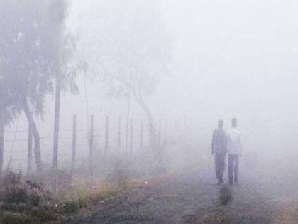 Mahabaleshwar's mercury dropped, the lowest temperature of this season | महाबळेश्वरचा पारा घसरला!, यंदाच्या हंगामातील निचांकी तापमान