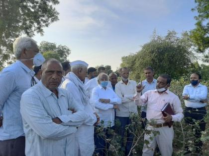 Loss of farmers due to leakage of cotton bond | राशीच्या कपाशीची बोण्ड गळती शेतकऱ्यांचे नुकसान