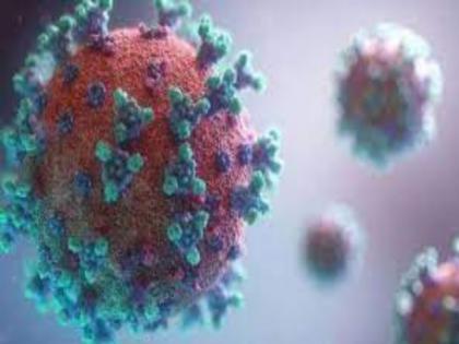 Pune Corona Virus: 316 corona viruses in Pune city on Sunday; So 329 is better | Pune Corona News: पुणे शहरात रविवारी ३१६ कोरोनाबाधित; तर ३२९ झाले बरे