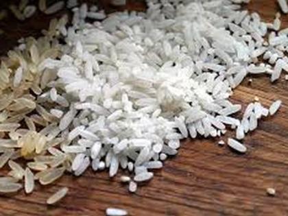 Distribution of rice in urban areas now? | आता शहरी भागाच्या शाळेतील तांदूळ वितरण?