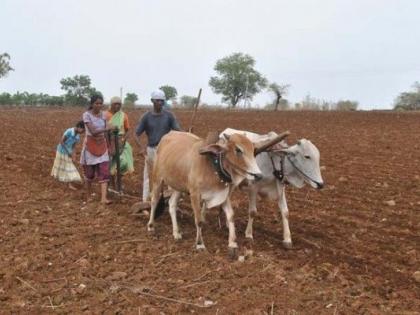 Raindrops; 62% less rainfall in Vidarbha | पावसाची दडी; विदर्भात ६२ टक्के कमी पाऊस