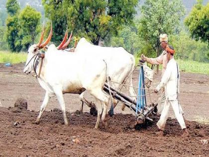 Water for irrigation before completion of rabi sowing, low storage in dams alarming | Satara: रब्बी पेरणी पूर्ण होण्यापूर्वीच सिंचनासाठी पाणी, धरणांतील कमी साठा चिंताजनक