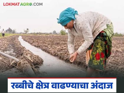 Latest news Rabi area estimated to increase by 1 million hectares says Agriculture ministre bharne | Agriculture News : रब्बी क्षेत्र 10 लाख हेक्टरने वाढण्याचा अंदाज; कृषिमंत्री दत्ता भरणे काय म्हणाले? Latest news Rabi area estimated to increase by 1 million hectares says Agriculture ministre bharne | Agriculture News : रब्बी क्षेत्र 10 लाख हेक्टरने वाढण्याचा अंदाज; कृषिमंत्री दत्ता भरणे काय म्हणाले?