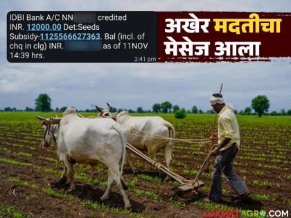 Rs 10,000 subsidy announced for Rabi season deposited in account; Tears of joy in farmers eyes | रब्बी हंगामासाठी जाहीर केलेले १० हजार रुपयांचे अनुदान अखेर खात्यावर जमा; शेतकऱ्यांच्या डोळ्यांत आनंदाश्रू Rs 10,000 subsidy announced for Rabi season deposited in account; Tears of joy in farmers eyes | रब्बी हंगामासाठी जाहीर केलेले १० हजार रुपयांचे अनुदान अखेर खात्यावर जमा; शेतकऱ्यांच्या डोळ्यांत आनंदाश्रू