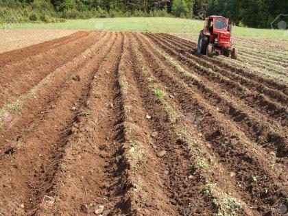 Farmers are preparing for the Rabbi season | शेतकरी करत आहे रब्बी हंगामाची तयारी