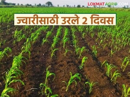 Rabi Pik Vima: The deadline for paying the premium for wheat, gram and onion crop insurance scheme is December 15 | Rabi Pik Vima : गहू, हरभरा व कांदा पीक विमा योजनेचा हप्ता भरण्यासाठी अंतिम मुदत १५ डिसेंबर Rabi Pik Vima: The deadline for paying the premium for wheat, gram and onion crop insurance scheme is December 15 | Rabi Pik Vima : गहू, हरभरा व कांदा पीक विमा योजनेचा हप्ता भरण्यासाठी अंतिम मुदत १५ डिसेंबर