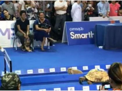 real life hare and tortoise race see who wins | गोष्टीतल्या ससा-कासवाची प्रत्यक्षात लावली शर्यत, पाहा कोण जिंकलं ते?