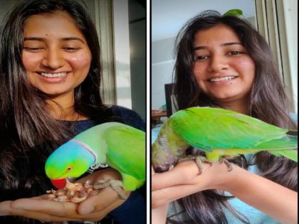 Radhika's group with 25-30 parrots in lockdown; Dawn was sweet | लॉकडाऊनमध्ये तब्बल २५ - ३० पोपटांशी राधिकाची जमली गट्टी; पहाट होते सुमधूर आवाजाने