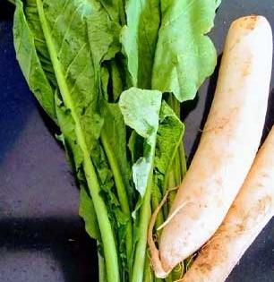 मुळ्याचा पाला खाल्ल्याने पोट बिघडते, हे खरे की खोटे? तब्येत ठणठणीत ठेवायची तर..