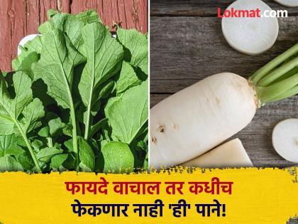 Health benefits of eating radish leaves in winter control diabetes and blood pressure | कचरा समजून फेकता का मूळ्याची पाने? फायदे वाचाल तर असं कधीच करणार नाही!