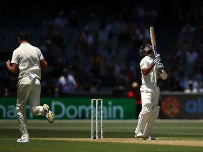 IND vs AUS 2nd Test: India require another 175 runs with 5 wickets remaining | IND vs AUS 2nd Test : भारतीय संघ पराभवाच्या सावटाखाली, निम्मा संघ माघारी 