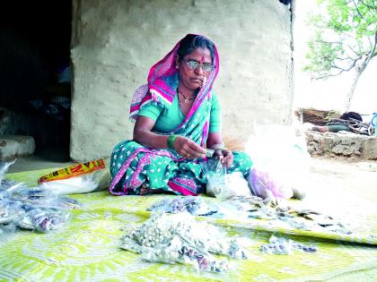 Rahibai Popeyer's dream of the seed bank came true | राहीबाई पोपेरे यांचे बियाणे बँकेचे स्वप्न आले सत्यात