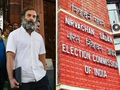 Will there be a by-election in Wayanad? Rahul Gandhi's MP post is gone, what does the rule say to Election commission, will EC Wait for higher court | पुन्हा निवडणूक आयोगाच्याच हातात सारा 'खेळ'; वायनाडमध्ये पोटनिवडणूक लागणार? की...