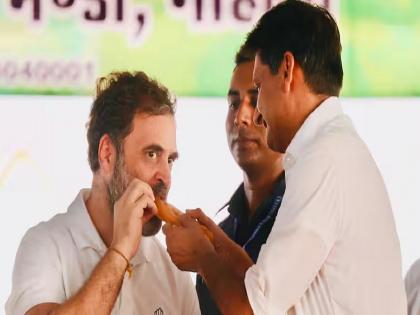 rahul gandhi liked taste of jalebi of gohana in sonipat haryana; What is her specialty? | राहुल गांधींनी गोहाना जिलेबीची चव चाखली; काय आहे तिची खासियत?