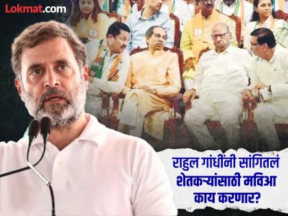 Maharashtra Election 2024: Rahul Gandhi's three announcements for the farmers of Maharashtra! | Maharashtra Election 2024: राहुल गांधींच्या महाराष्ट्रातील शेतकऱ्यांसाठी तीन घोषणा!