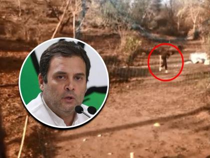 Rahul Gandhi was impressed by the 16-year-old Bharat's bowling and appealed to Chief Minister Ashok Gehlot to help him | १६ वर्षीय भरतच्या गोलंदाजीने राहुल गांधी प्रभावित; माशांच्या जाळ्याचे नेट बनवून करत होता सराव 