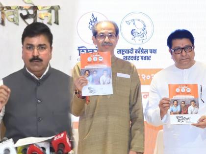 विश्वासघातकी अन् पाठीत खंजीर खुपसणारा ठाकरेंचा शब्द; शिंदेसेनेच्या नेत्याची जहरी टीका - Marathi News | Eknath Shinde Shiv Sena leader Rahul Shewale criticized Uddhav Thackeray and MNS Raj Thackeray | Latest mumbai News at Lokmat.com