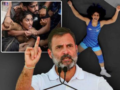 Rahul Gandhi attack on bjp over Vinesh Phogat entry in paris olympics finals says she gave reply on mat | Rahul Gandhi : "चॅम्पियन्सची हीच ओळख, ते मैदानातूनच उत्तर देतात"; विनेशसाठी राहुल गांधींचा भाजपावर हल्लाबोल