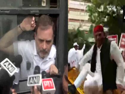 Opposition MPs march on Election Commission office, police take many into custody | राहुल गांधी, संजय राऊतांसह अनेक खासदार पोलिसांच्या ताब्यात; 'मतचोरी'वरून विरोधकांचा निवडणूक आयोगावर मोर्चा Opposition MPs march on Election Commission office, police take many into custody | राहुल गांधी, संजय राऊतांसह अनेक खासदार पोलिसांच्या ताब्यात; 'मतचोरी'वरून विरोधकांचा निवडणूक आयोगावर मोर्चा