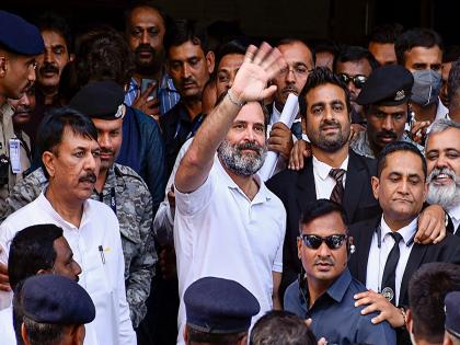 Rahul Gandhi: How many cases are there against Rahul Gandhi? In how many cases has he been granted bail? Find out... | राहुल गांधींविरोधात किती खटले? किती प्रकरणांमध्ये मिळालाय जामीन? जाणून घ्या... Rahul Gandhi: How many cases are there against Rahul Gandhi? In how many cases has he been granted bail? Find out... | राहुल गांधींविरोधात किती खटले? किती प्रकरणांमध्ये मिळालाय जामीन? जाणून घ्या...