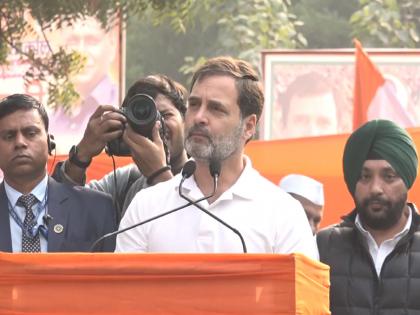 Parliament Security Breach Congress Protest 'When those youths entered the Parliament, the BJP MPs ran away', Rahul Gandhi slams | 'संसदेत घुसखोरी झाली, तेव्हा भाजपा खासदार पळून गेले', राहुल गांधींचा खोचक टोला