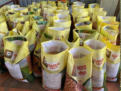 Bogus soybean seeds worth Rs 23 lakh seized in Islampur | इस्लामपुरात साडेतेवीस लाखांचे सोयाबीनचे बोगस बियाणे जप्त