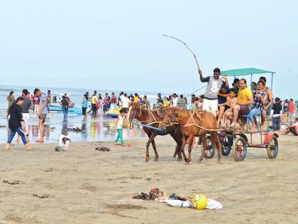 Tourists visit the beaches in Raigad | रायगडमध्ये पर्यटकांनी बहरले समुद्रकिनारे