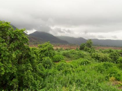 Due to the rains of the dead, Raigad was caught by the rain; | मृगाच्या पावसाने रायगडमध्ये जाेर धरला, काेकण रेल्वेचा प्रवास हाेताेय निसर्ग रमणीय