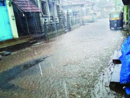 Heavy rains of the rains, the beggars dry | पावसाची दमदार हजेरी, बळीराजा सुखावला