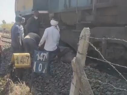 Buffalo falls under freight train near Satara, one buffalo killed | साताऱ्याजवळ मालवाहू रेल्वेखाली आल्या म्हशी, एक म्हैस ठार; मृत म्हैशीला जेसीबीने काढले बाहेर