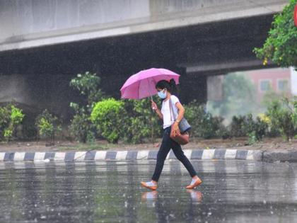 In some places the of rain is still less It will rain heavily in the next few days in maharashtra | Rain Update: काही ठिकाणी पावसाचे प्रमाण अजूनही कमीच! येत्या काही दिवसांमध्ये दमदार बरसेल