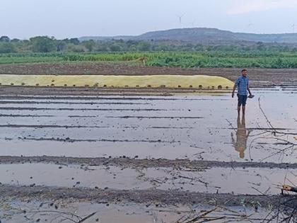 62 thousand hectares affected by untimely rain in Marathwada; Due to the strike, only 2 percent of Panchnama was formed | मराठवाड्यात ६२ हजार हेक्टरला अवकाळीचा फटका; ७ नागरिकांचा वीज पडून मृत्यू