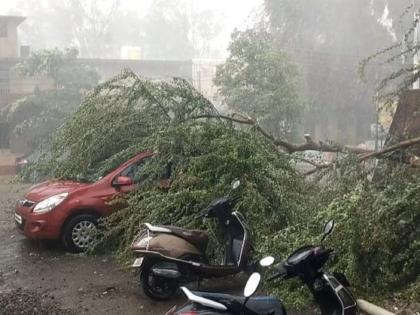 hailstorm in Udgir, Jalkot taluka | उदगीर, जळकोटात वादळी वाऱ्यासह गारांचा पाऊस; द्राक्ष, आंब्याचे नुकसान