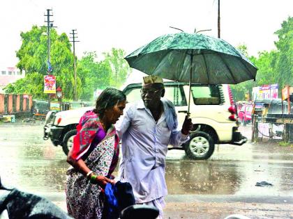 The rain returned! | पाऊस परतला! 