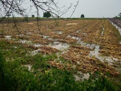 Ponds in the farm field; Return rains hit Beed district | शेतात साचले तळे; बीड जिल्ह्याला परतीच्या पावसाचा फटका