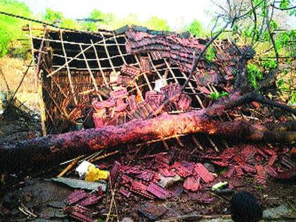 Untimely hit Raigad, damage to mango, coconut and cashew orchards | रायगडला अवकाळीचा फटका, आंबा, नारळ, काजू बागांचं नुकसान