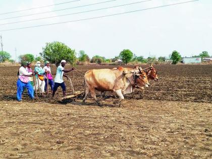 The crisis of double sowing due to rain stopped | पावसाने दडी मारल्याने दुबार पेरणीचे संकट