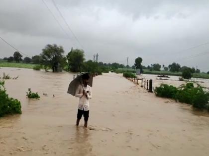 Heavy rain in Marathwada; Crops on three and a half lakh hectares are in water | मराठवाड्याला पावसाचा जोरदार तडाखा; साडेतीन लाख हेक्टरवरील पिके पाण्यात