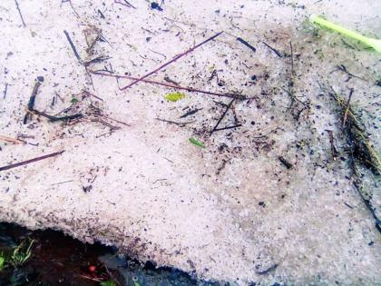 Hailing in Nagpur in winter | नागपुरात हिवसाळ्यात गारपिटीचा मार