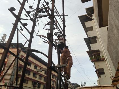 Electricity supply interrupted due to fall of pimpal tree in Dombivli | डोंबिवलीत पिंपळाचे झाड पडल्याने वीज पुरवठा खंडीत 