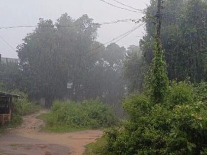 Heavy rains started in Sindhudurg district, Farmers worried about rice harvest | सिंधुदुर्ग जिल्ह्यात जोरदार पावसाला सुरुवात, भात कापणी आल्याने शेतकरी चिंतेत